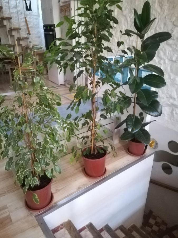 Apartament Maison De Ville, Terrasse, Chaleureuse Narbona Zewnętrze zdjęcie
